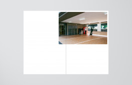 studio hollender