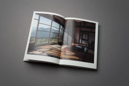 STUDIO HOLLENDER